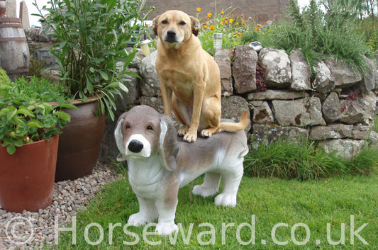 Betty sits on top of a beagle statue