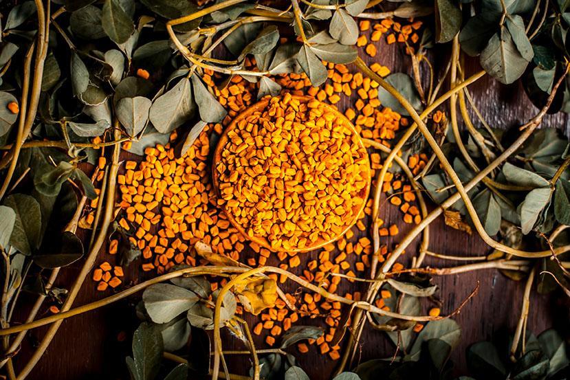 Fenugreek