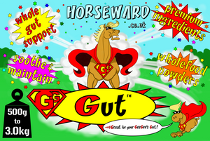 GG GUT™ GGgreat for your geegee's gut!