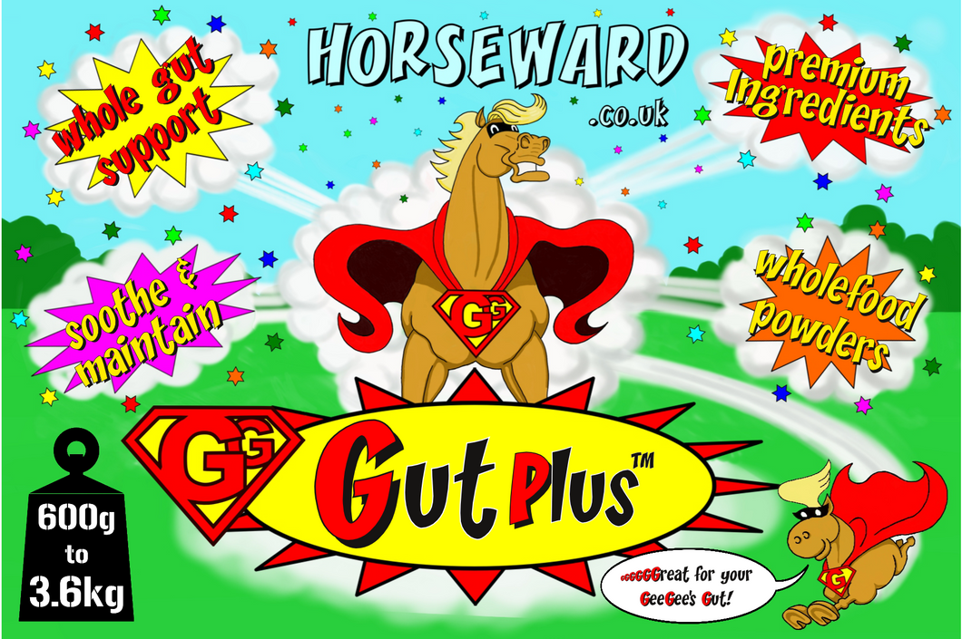 GG GUTPLUS™ GGgreat for your anxious geegee's gut!