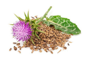 ORGANIC MILK THISTLE SEED